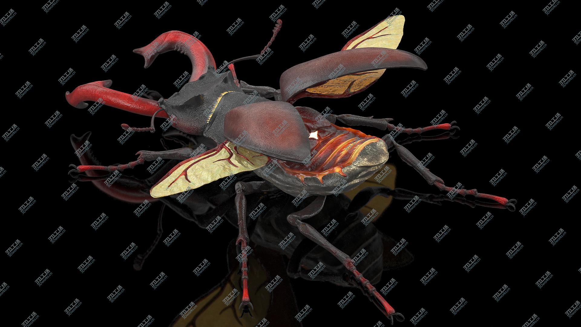 images/goods_img/202104093/3D Lucanus Cervus Stag Beetle Fur Rigged/1.jpg